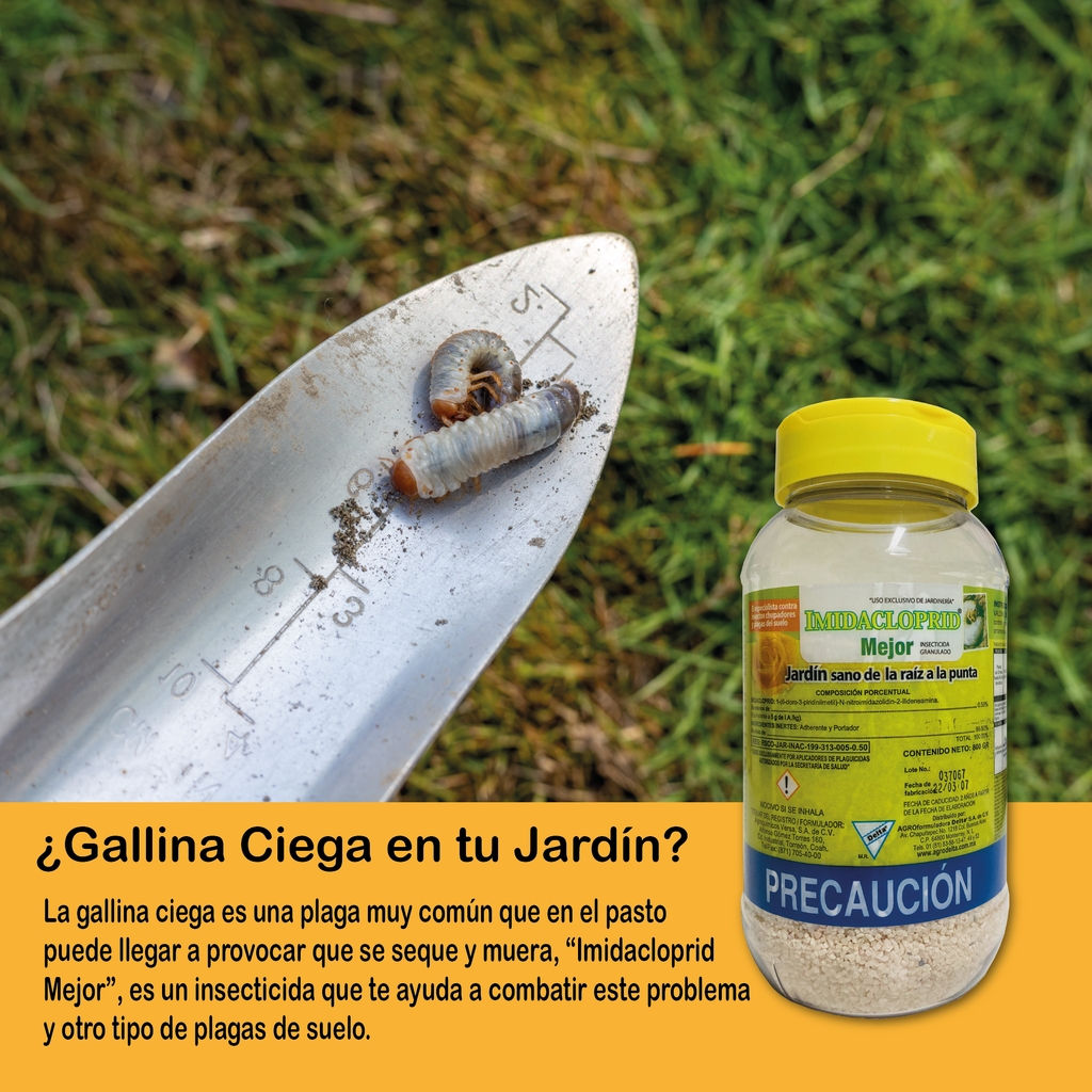 INSECTICIDA GRANULADO MEJOR (IMIDACLOPRID)