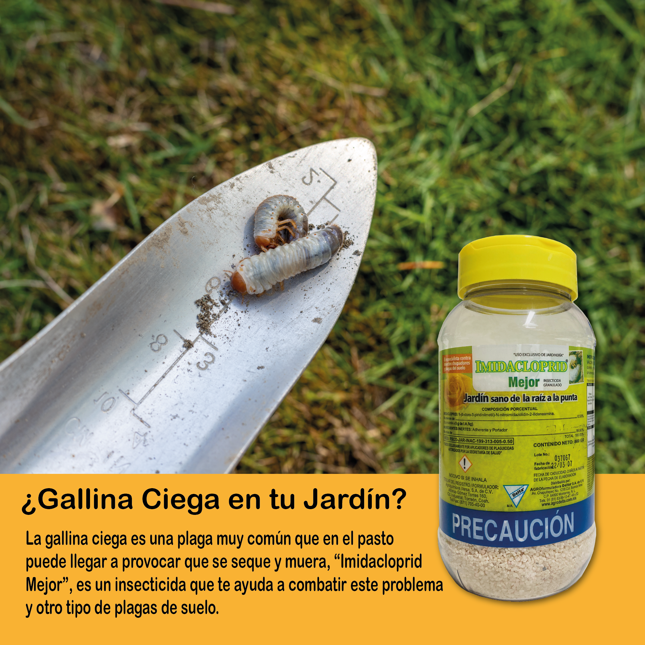 INSECTICIDA GRANULADO MEJOR (IMIDACLOPRID)